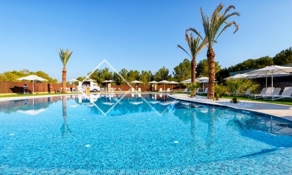 Penthouse -  - Las Colinas Golf Resort - Las Colinas Golf Resort