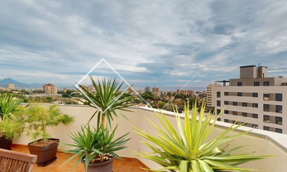 Penthouse -  - San Juan de Alicante - San Juan de Alicante