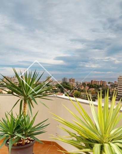 Penthouse -  - San Juan de Alicante - San Juan de Alicante