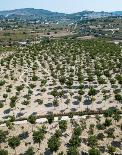 Plots and Land -  - Benissa - Benissa