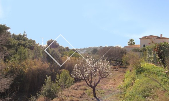 Plots and Land -  - Benissa - La Fustera