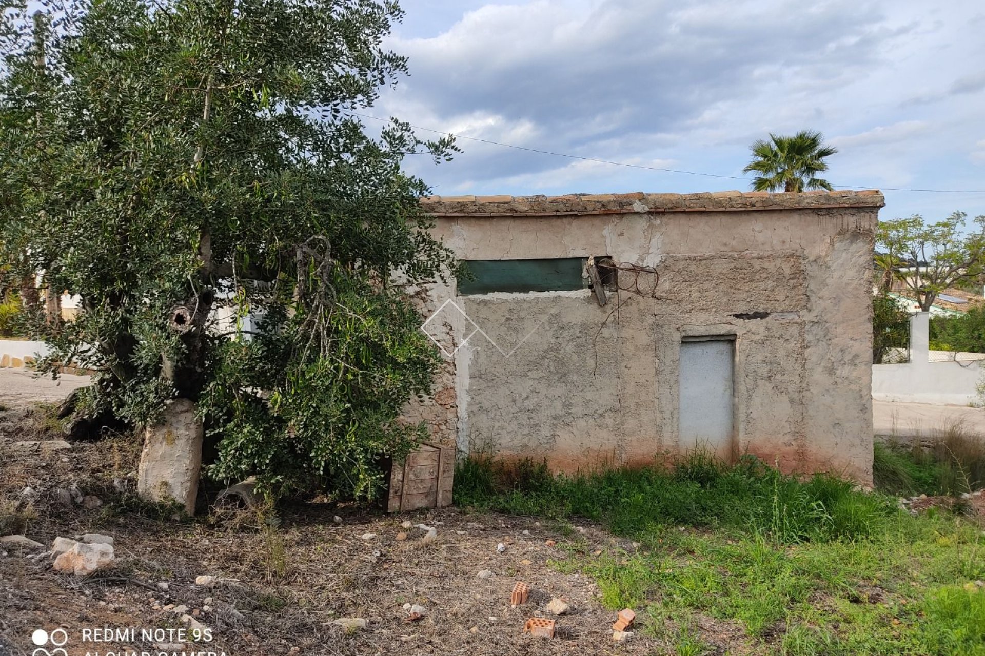  - Plots and Land - Murla