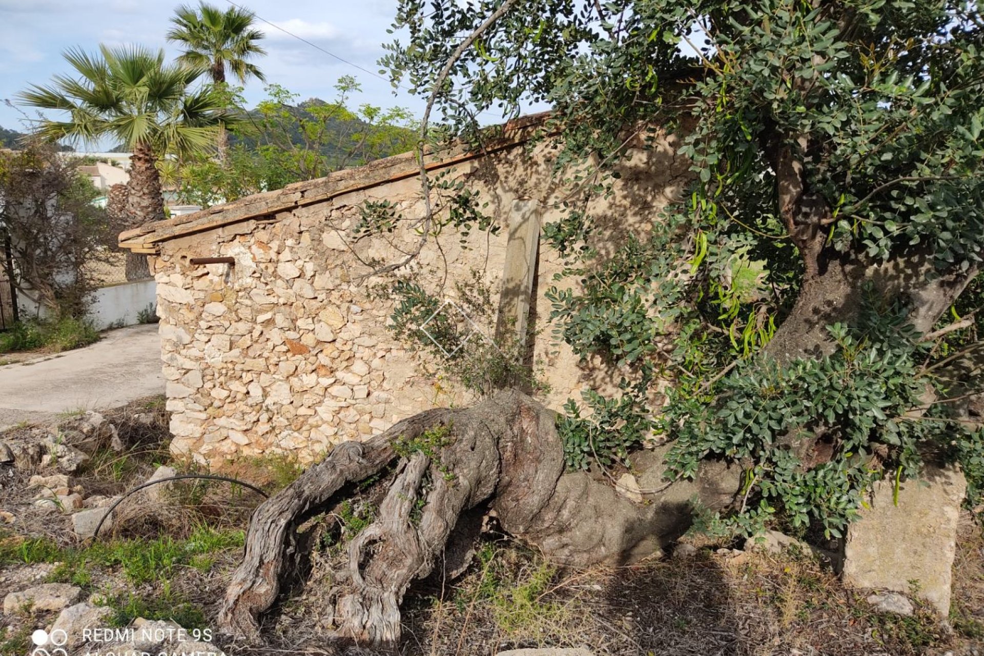  - Plots and Land - Murla