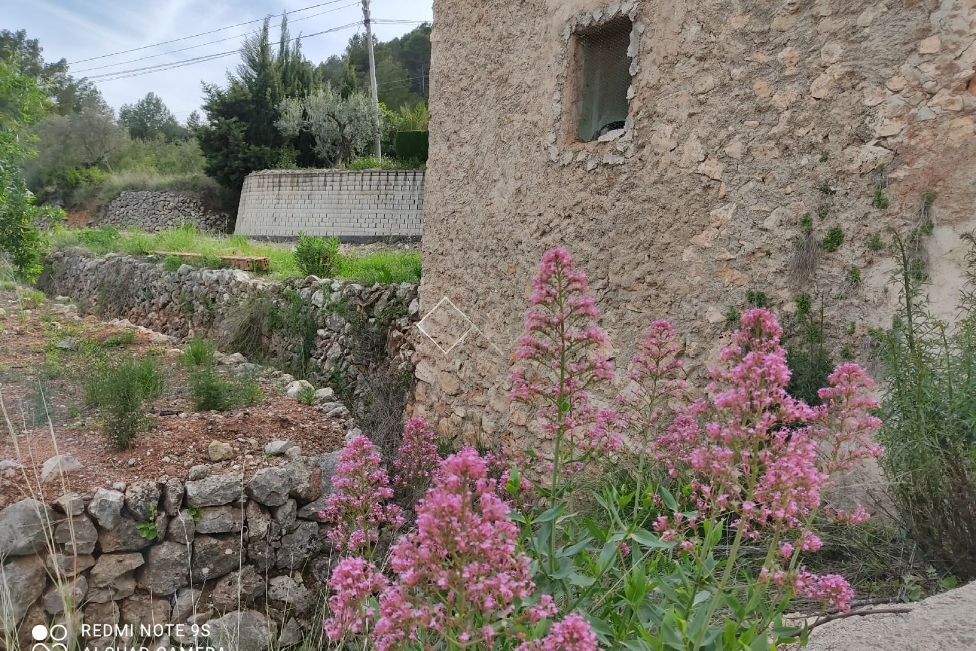  - Plots and Land - Murla