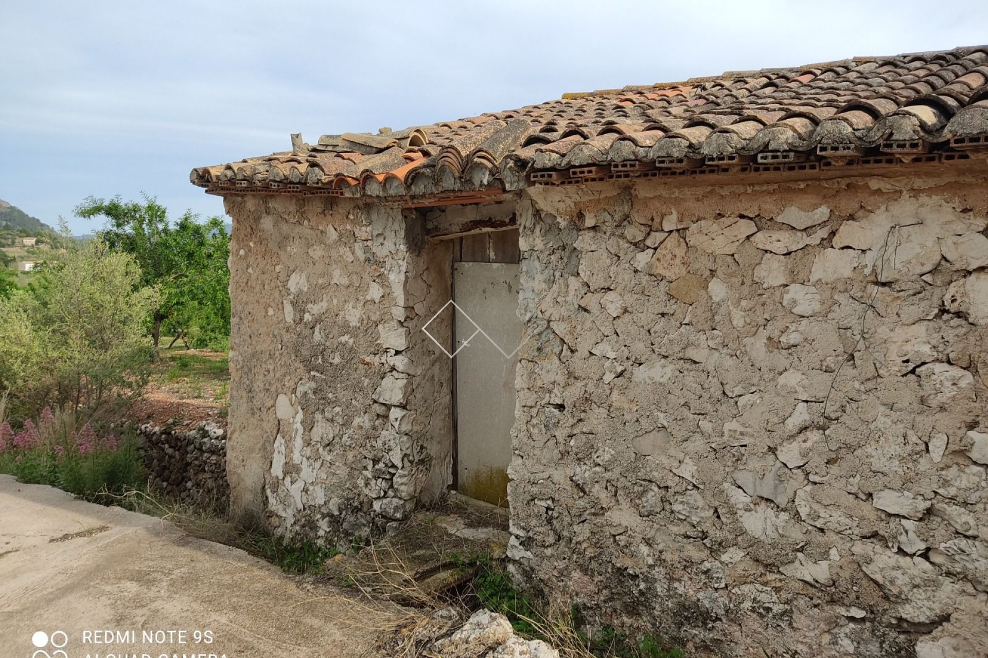  - Plots and Land - Murla