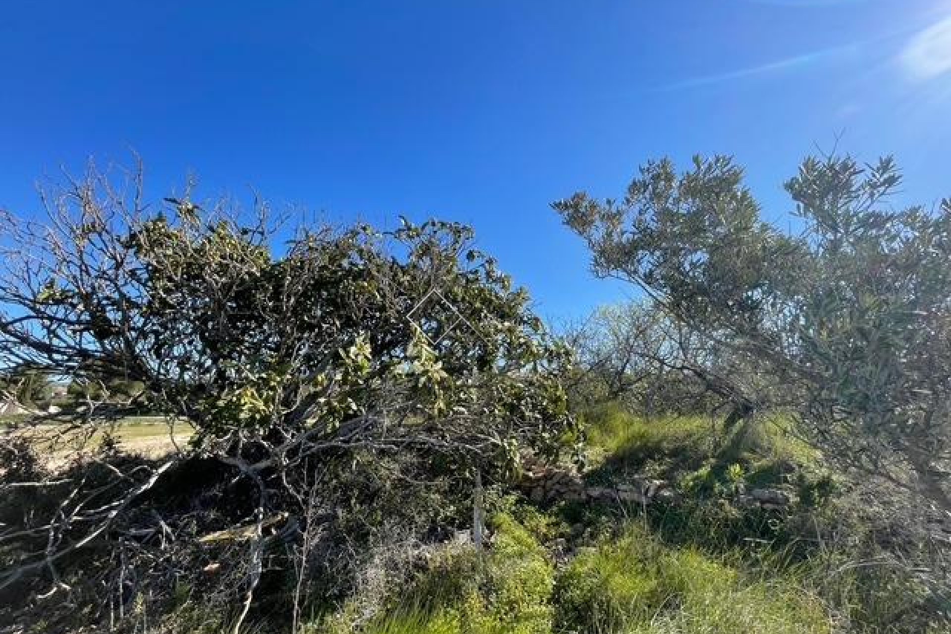  - Plots and Land - Teulada