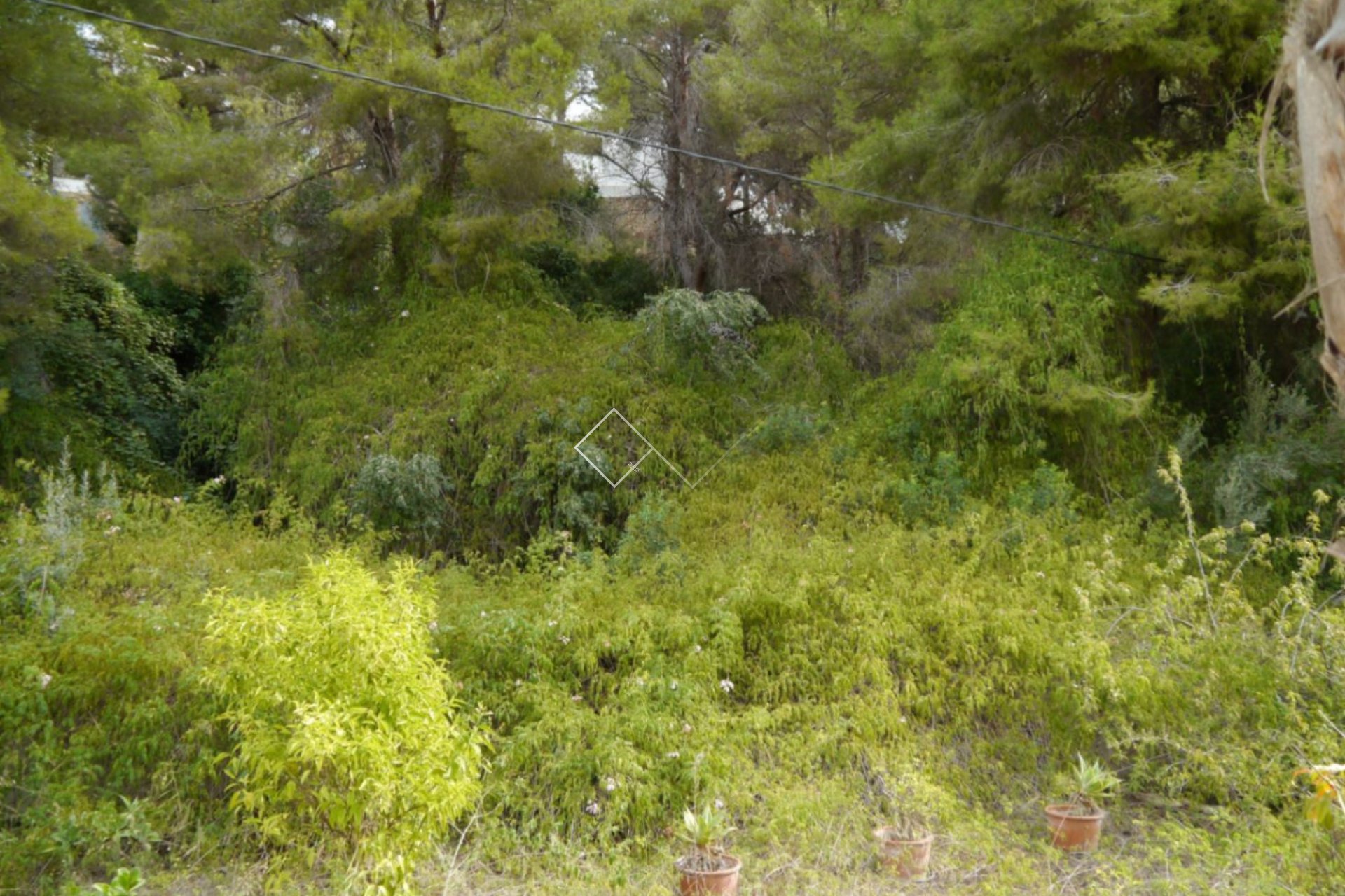 Rentals - Parcelles et Terrains - Benissa - Buenavista