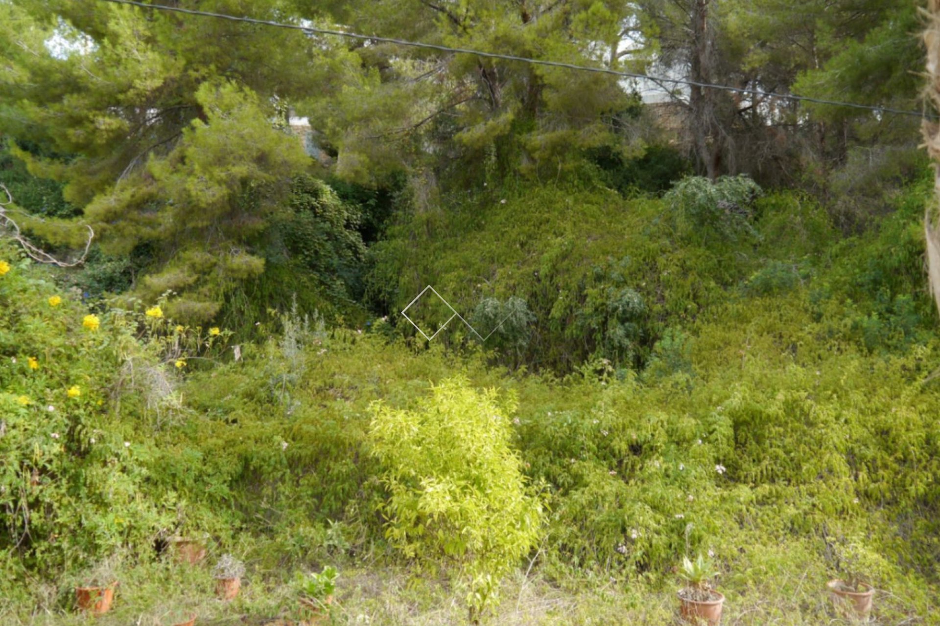 Rentals - Percelen en Land - Benissa - Buenavista