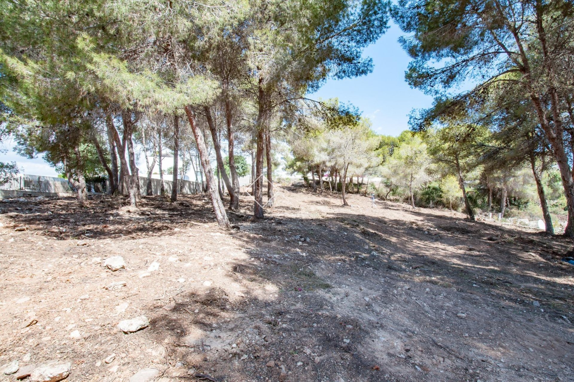 Rentals - Plots and Land - Moraira