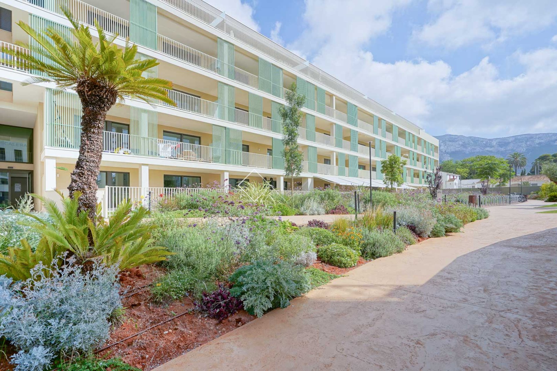 Resale - Appartement / Wohnung - Denia - Port