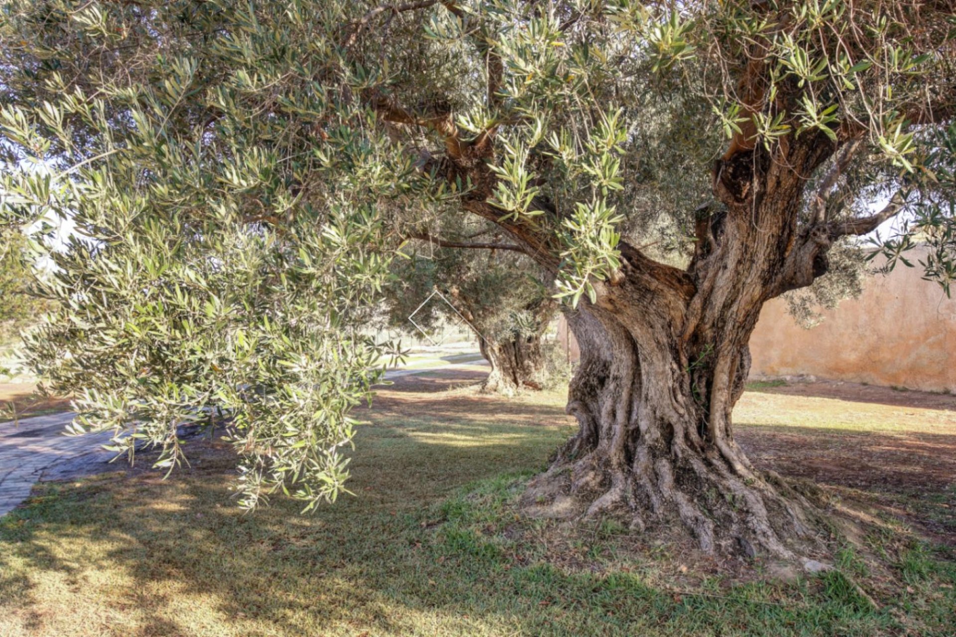 Resale - Finca - Moraira - Campo