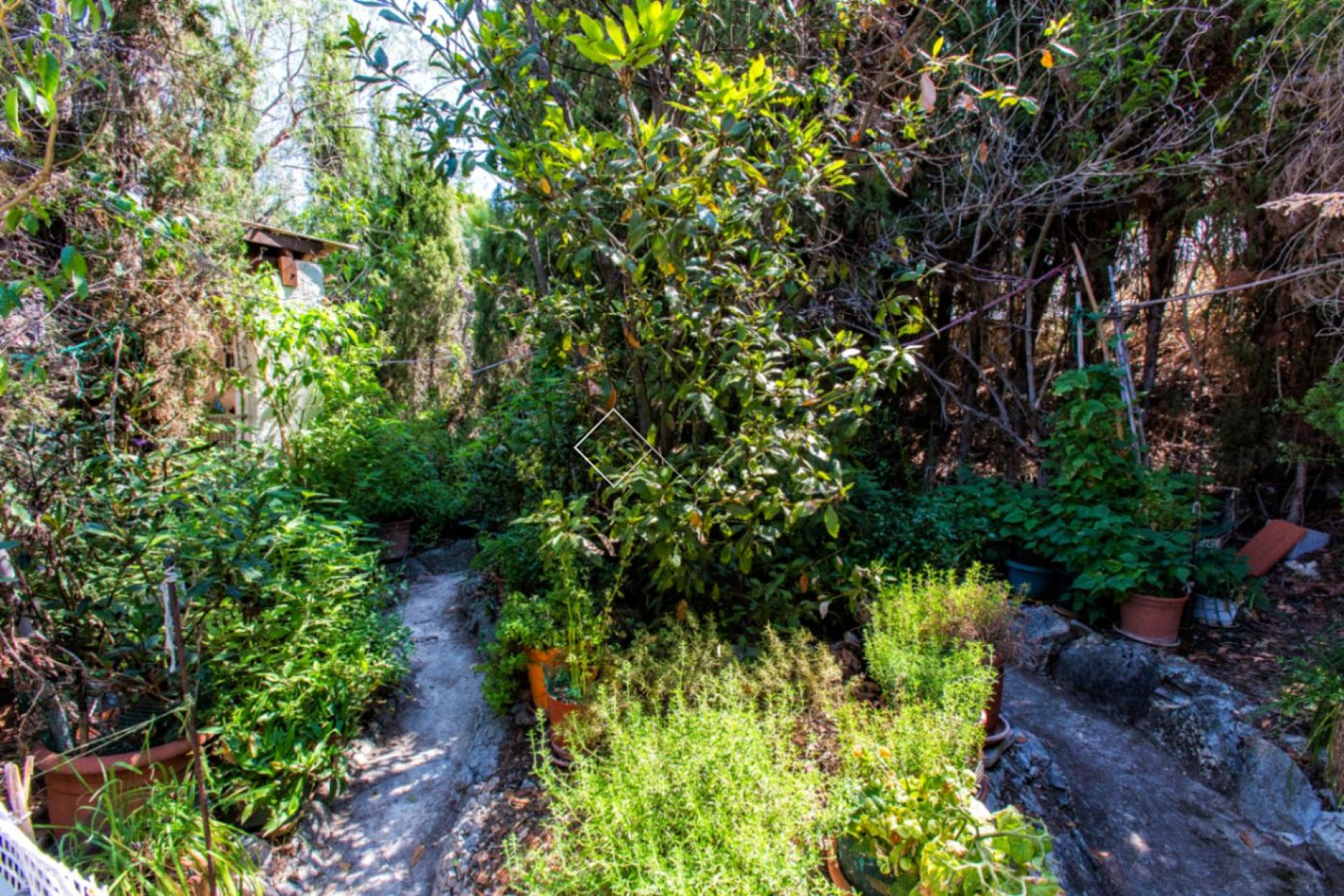 Resale - Villa - Calpe - La Cometa III