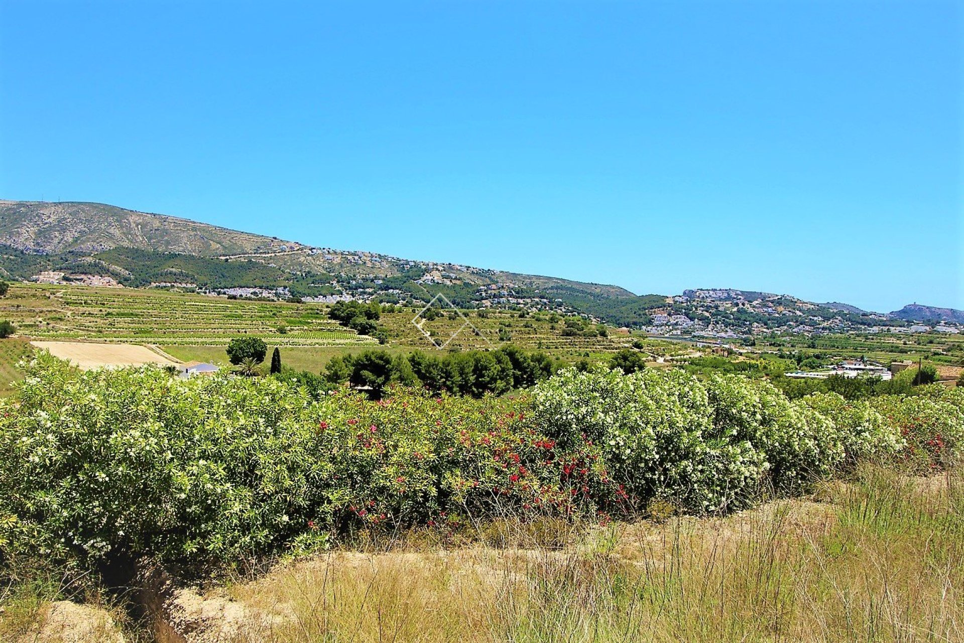 Reventa - Finca - Teulada - Campo