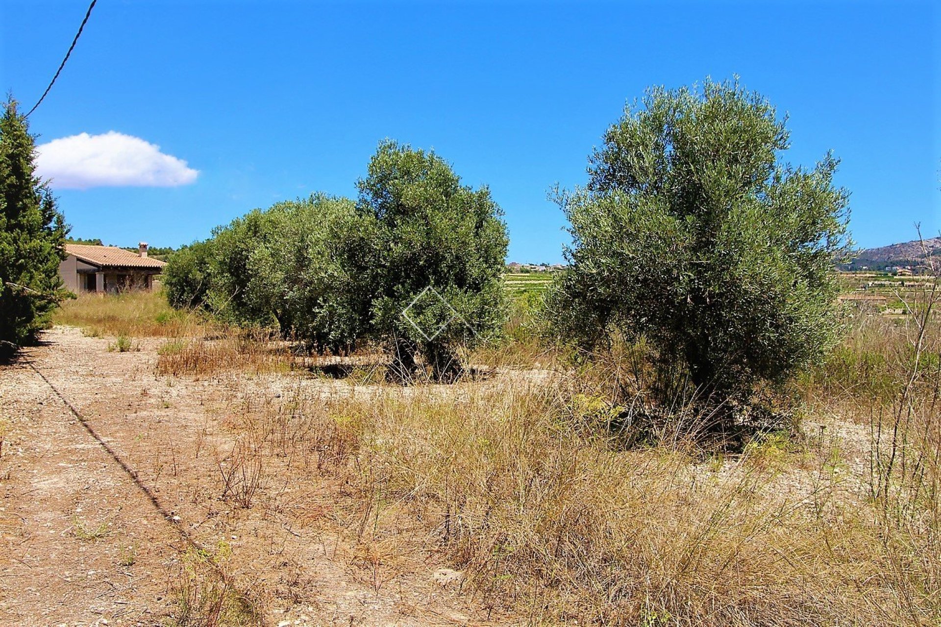 Reventa - Finca - Teulada - Campo