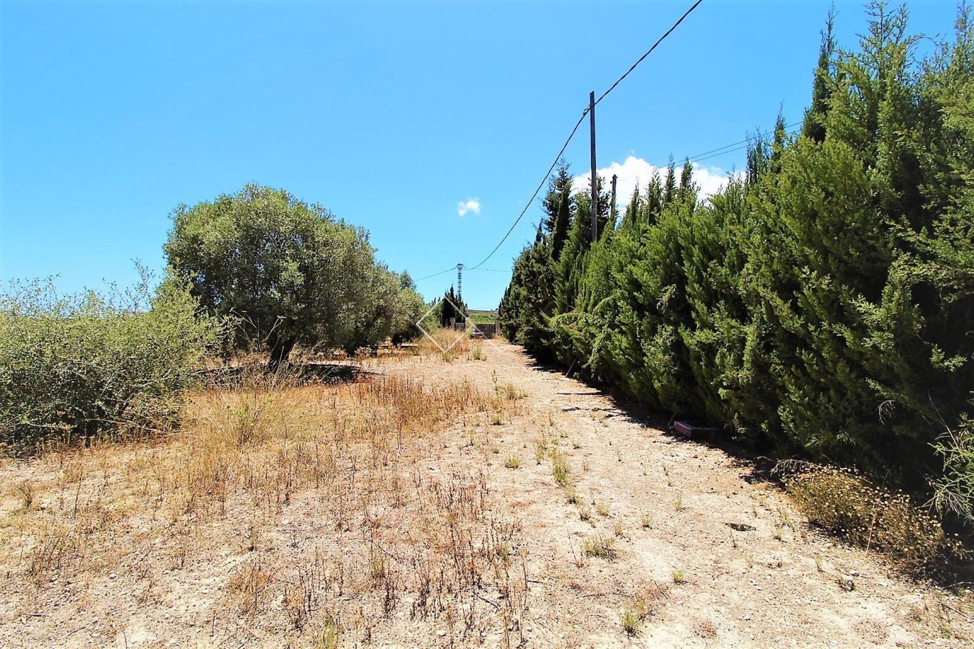 Reventa - Finca - Teulada - Campo