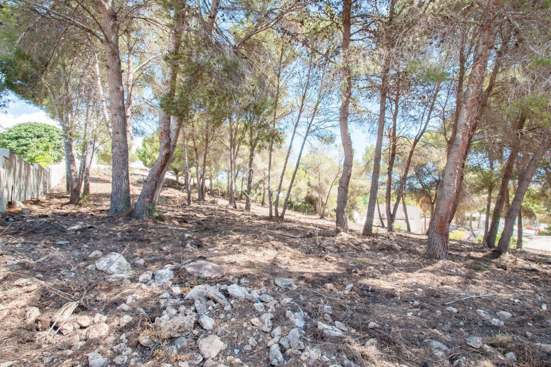 Reventa - Parcelas y Terrenos - Moraira
