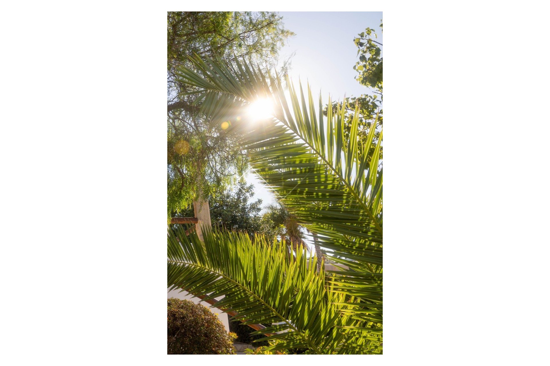 Reventa - Villa - Jávea/Xàbia - Portixol