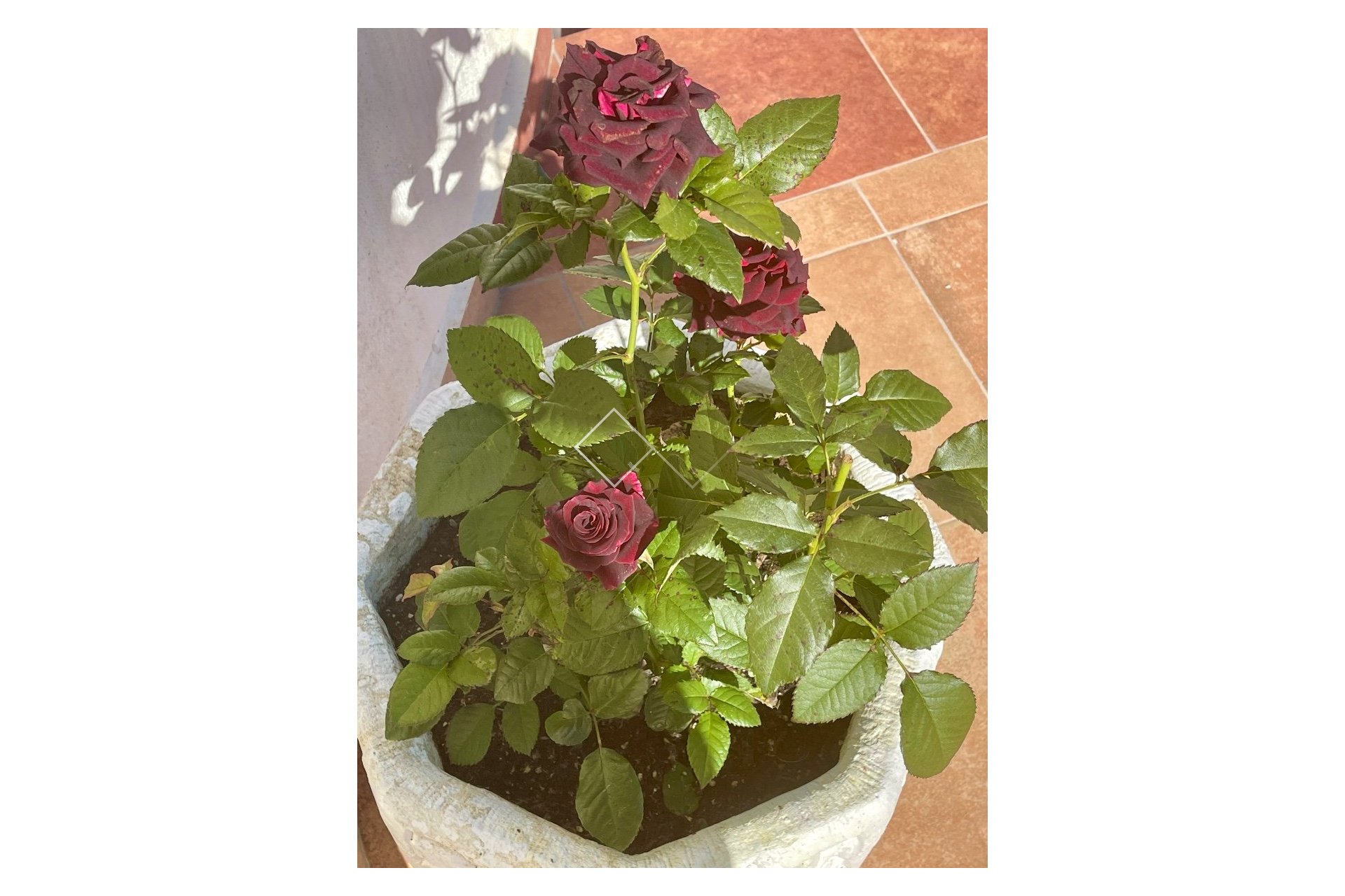 Reventa - Villa - Moraira - Benimeit