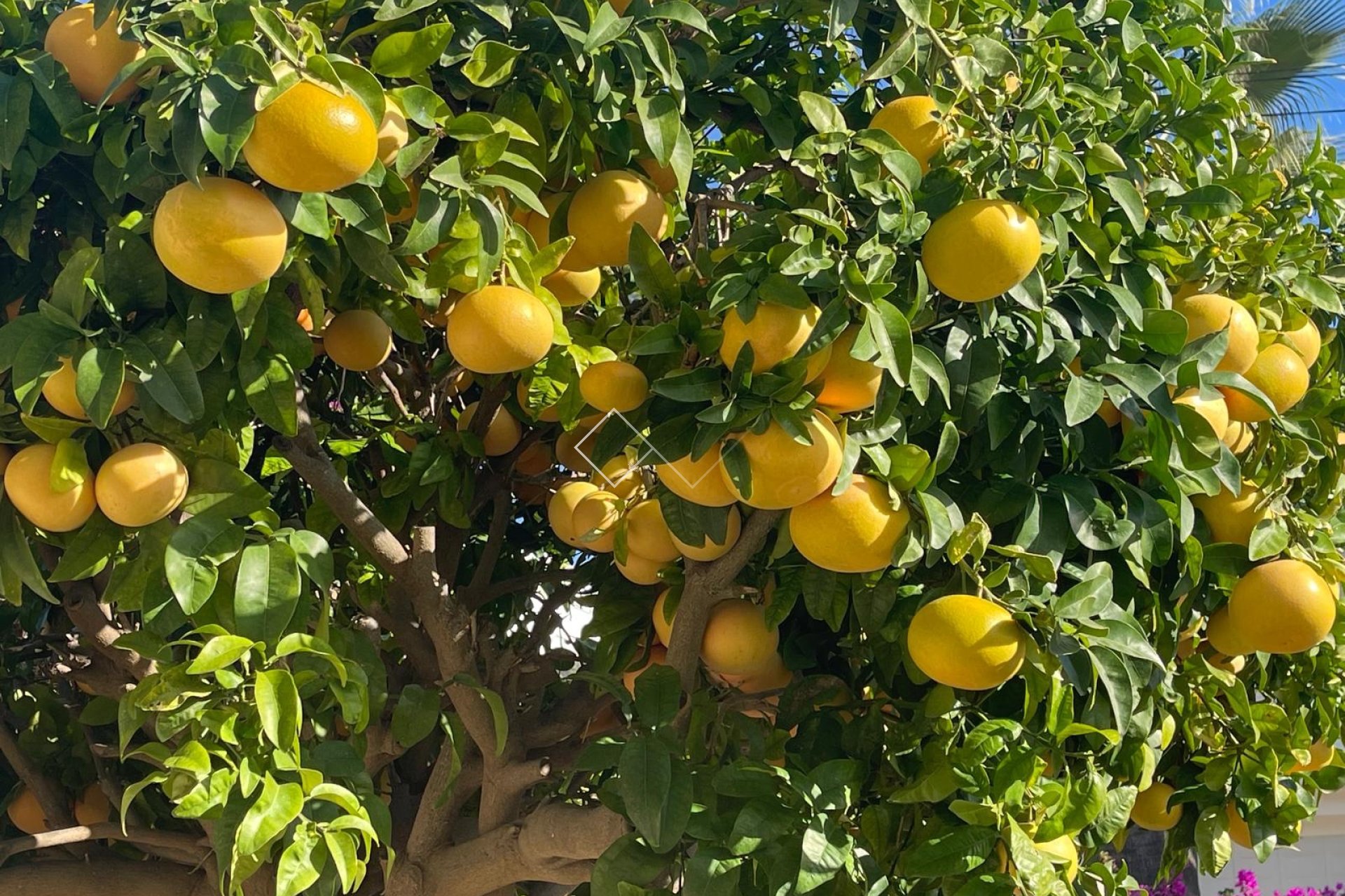 Reventa - VILLAS - Moraira - Benimeit