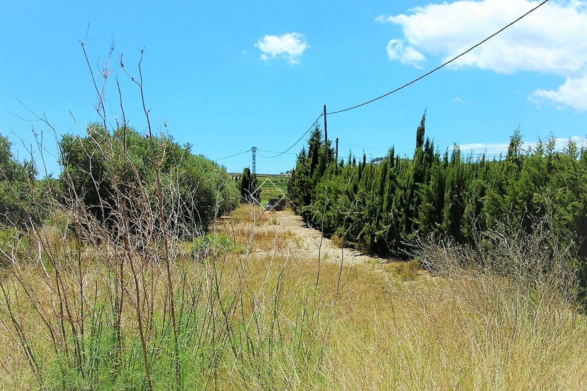 Revente - Finca - Teulada - Campo