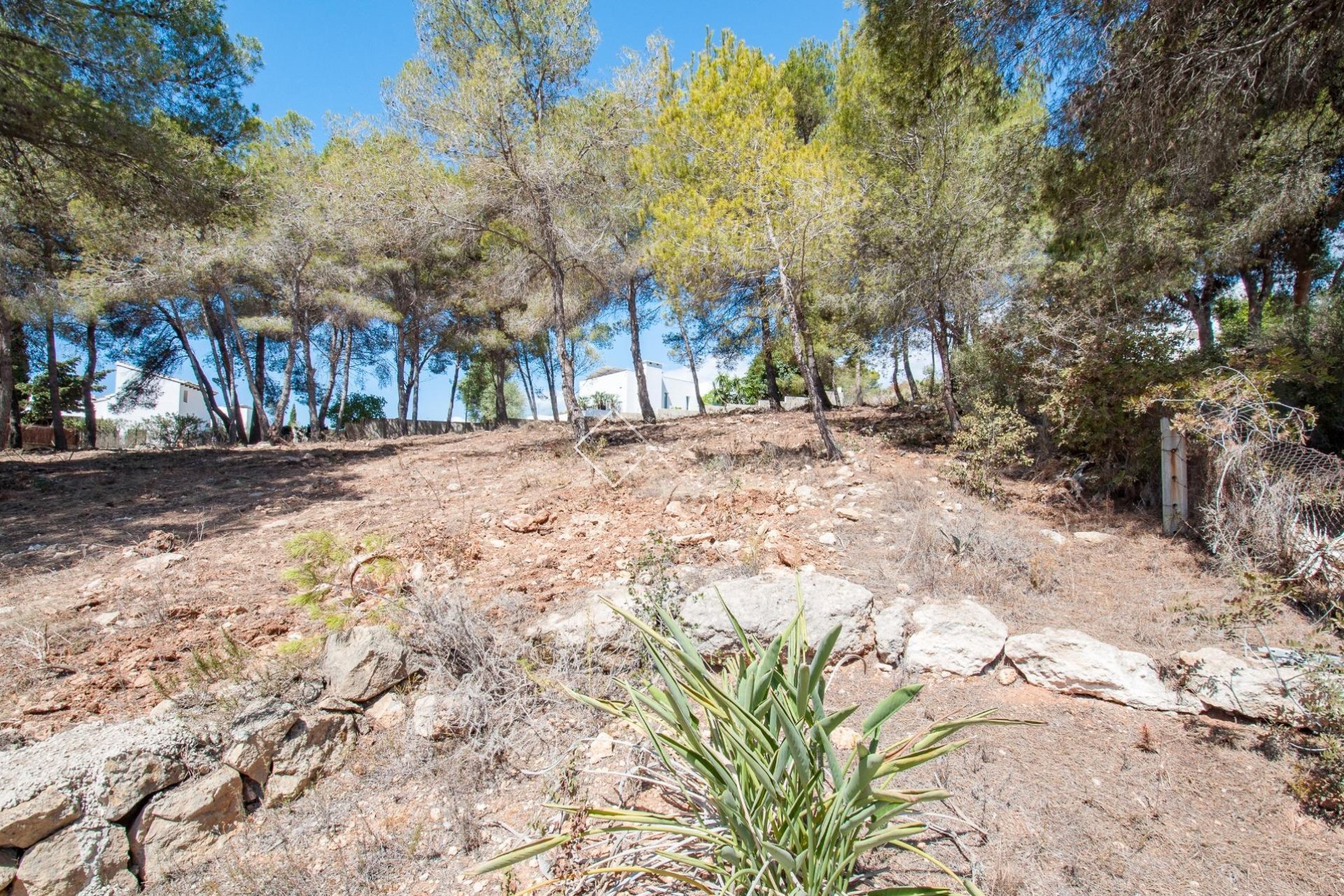 Revente - Parcelles et Terrains - Moraira
