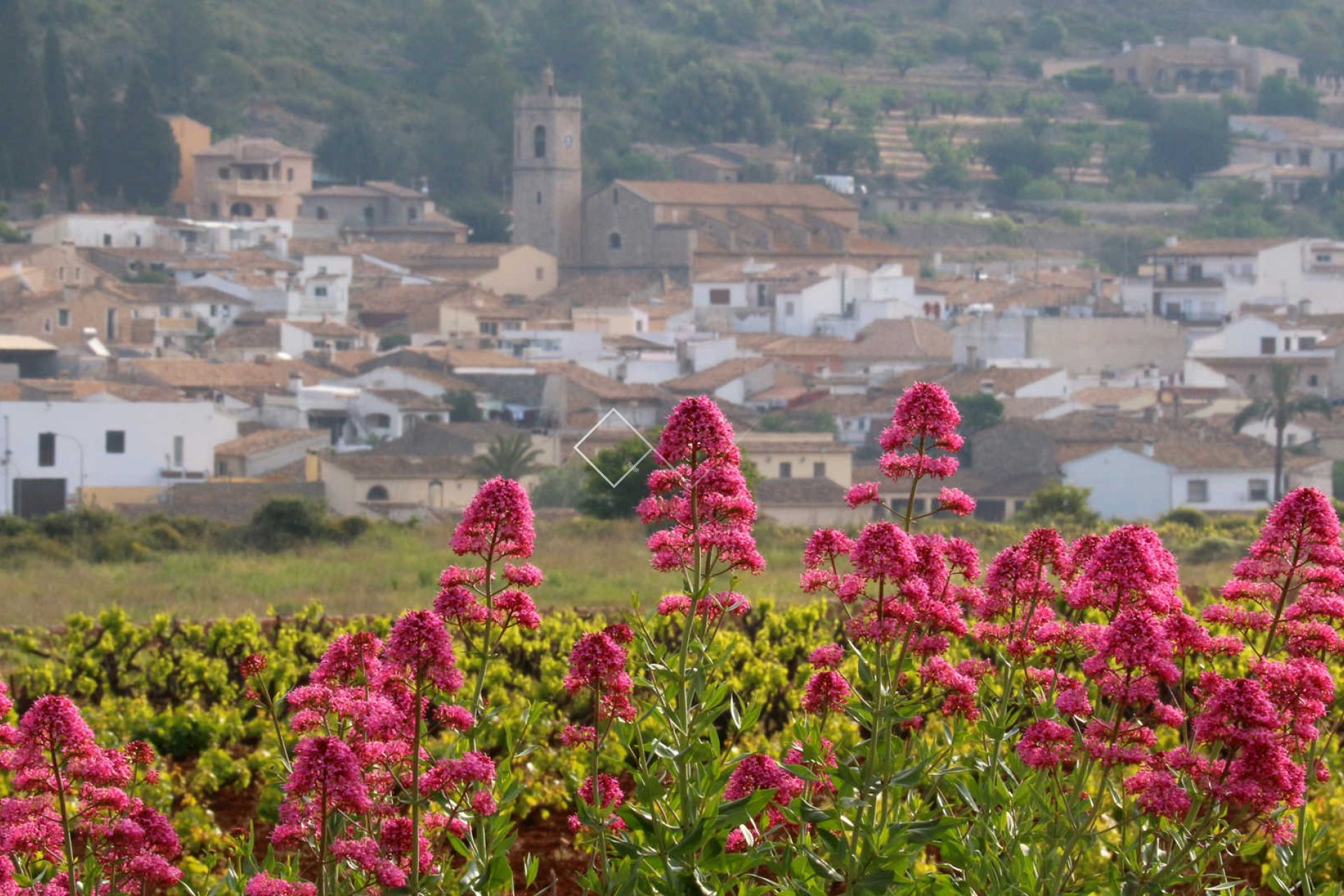 Revente - Villa - Lliber