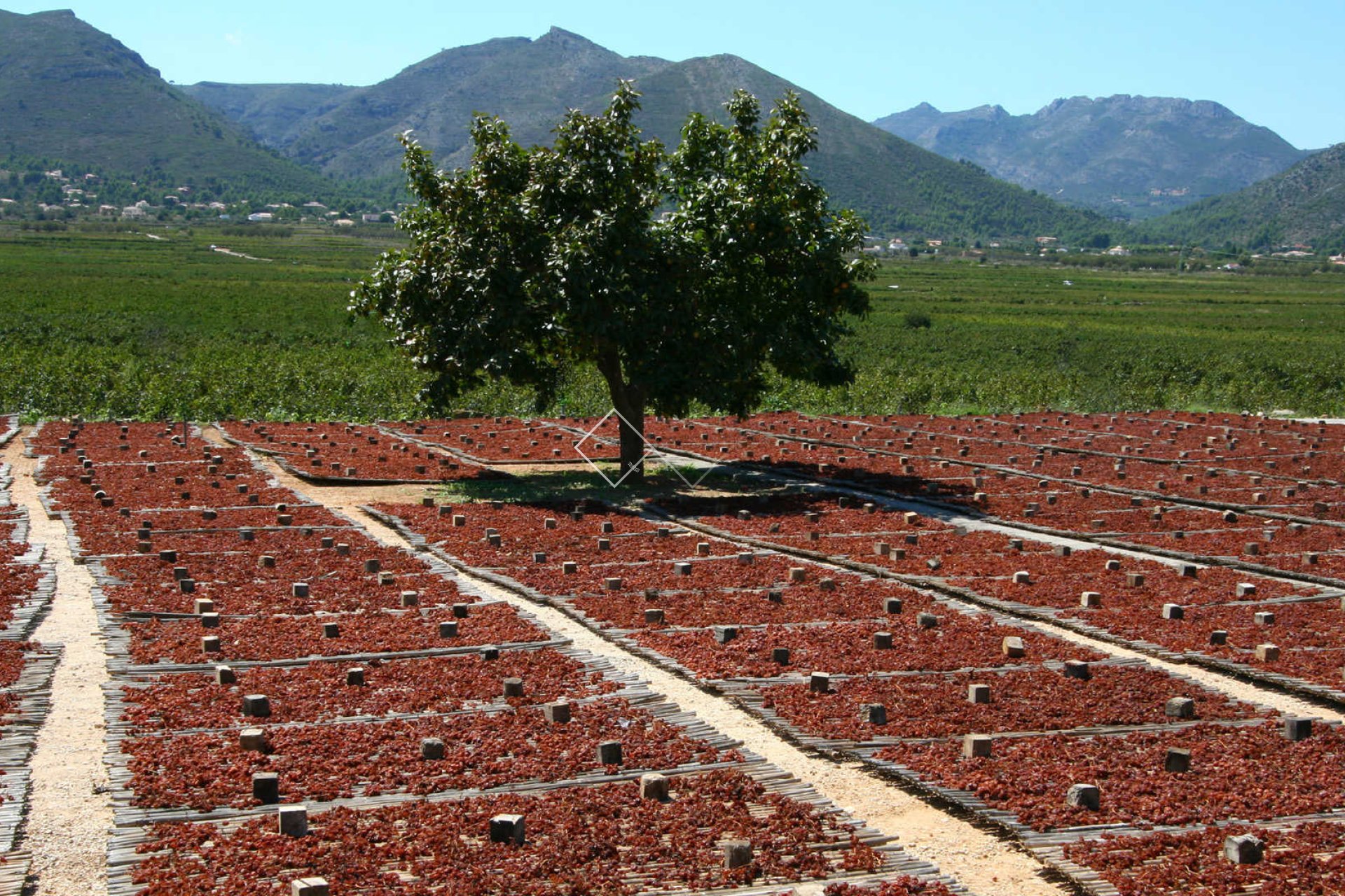 Revente - Villa - Lliber