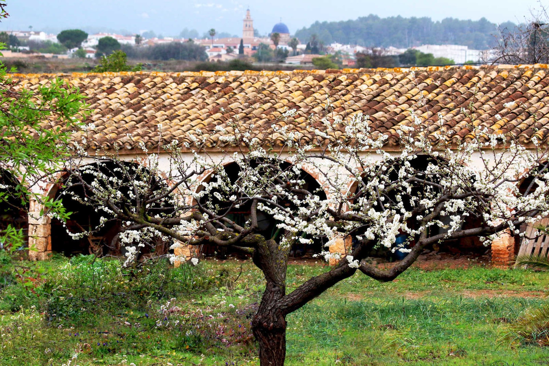 Revente - Villa - Lliber