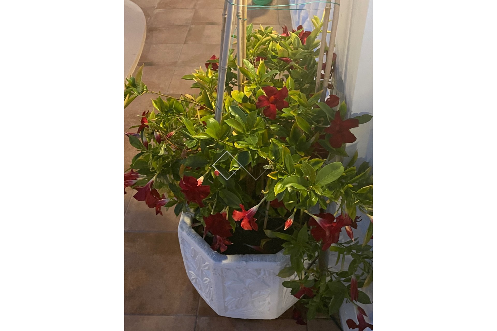 Revente - Villa - Moraira - Benimeit