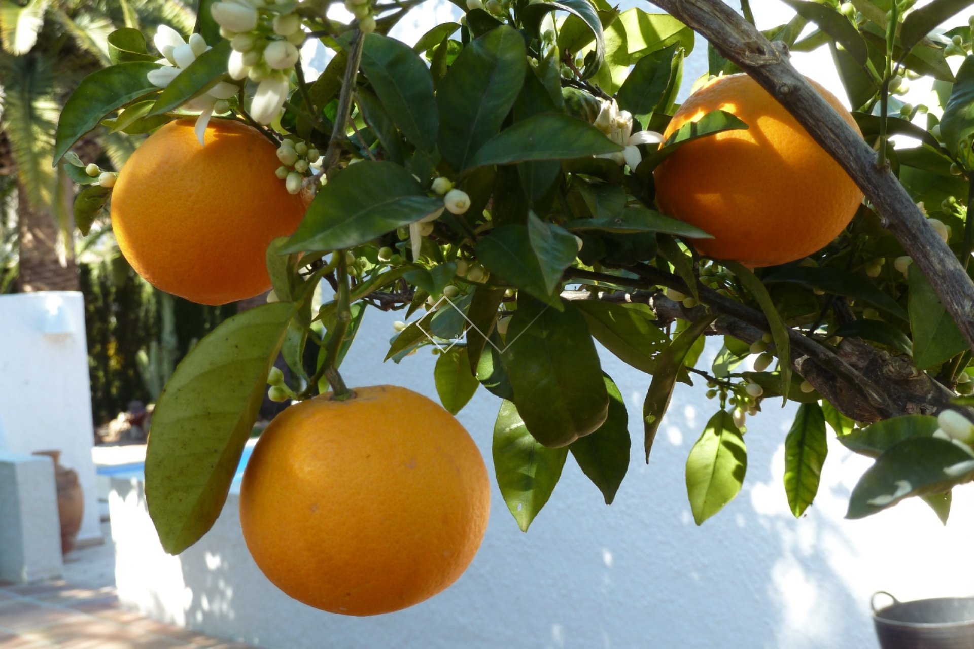 Revente - Villa - Moraira