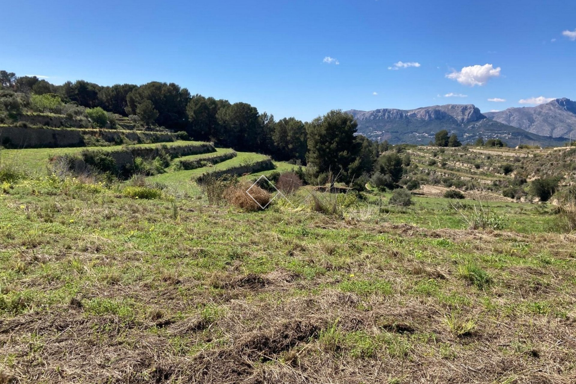  - terrain - Benissa - Partida Biasner