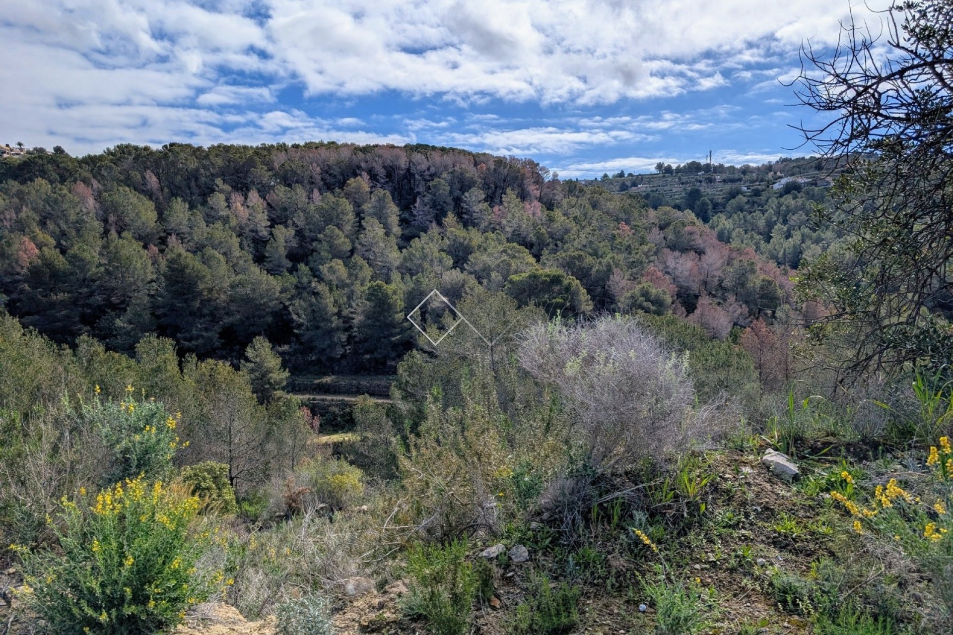  - terrain - Benissa - Partida Biasner