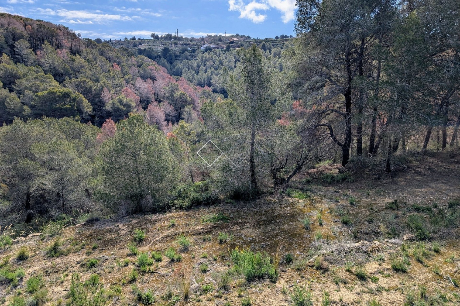  - terrain - Benissa - Partida Biasner