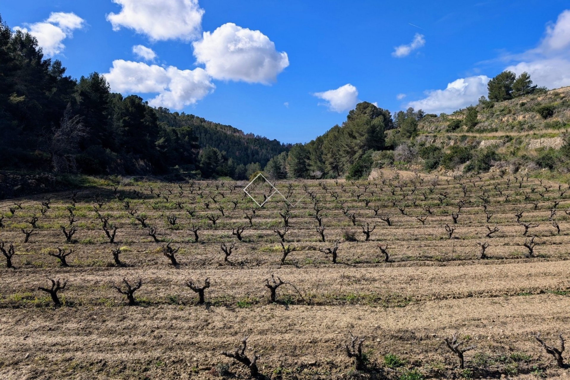  - terrain - Benissa - Partida Biasner