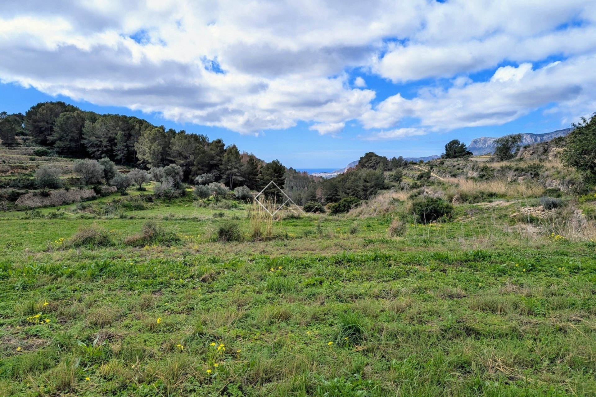  - terrain - Benissa - Partida Biasner