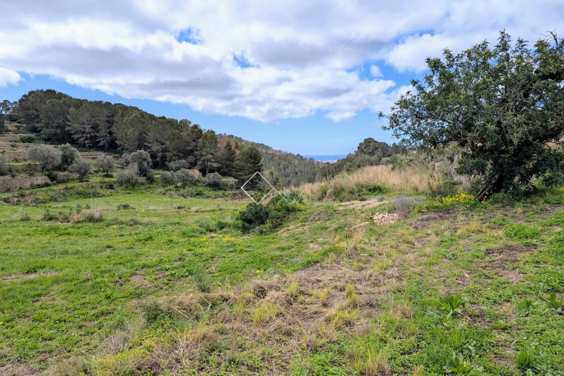  - terrain - Benissa - Partida Biasner