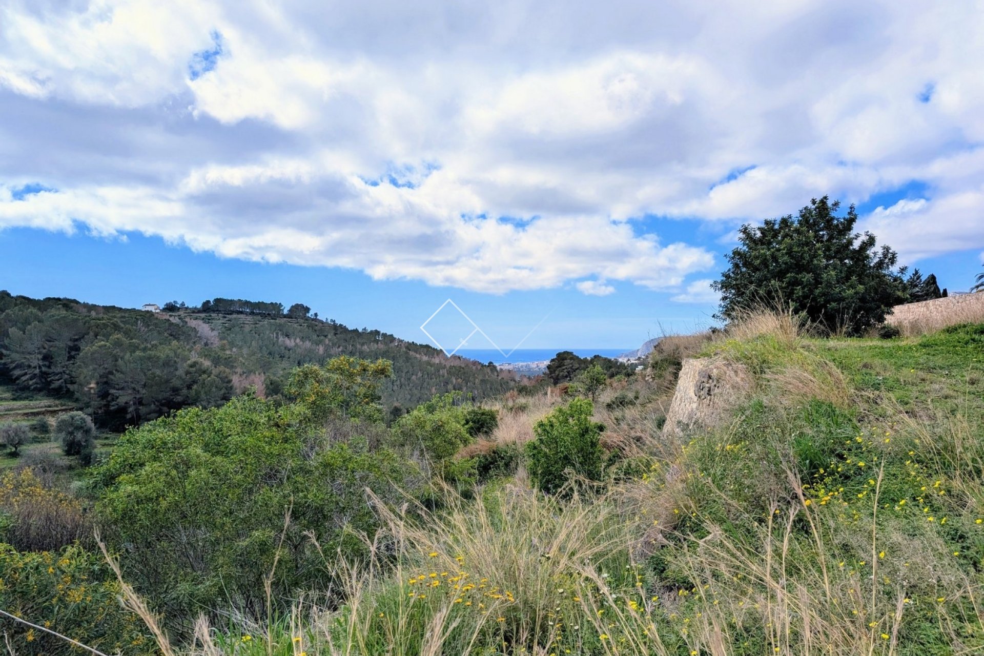  - terrain - Benissa - Partida Biasner