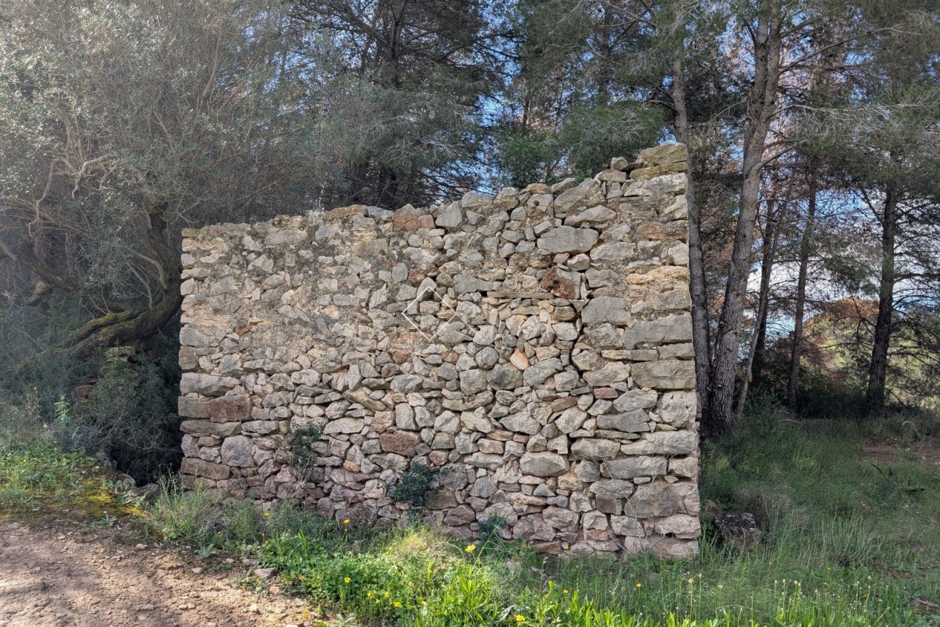  - terrain - Benissa - Partida Biasner