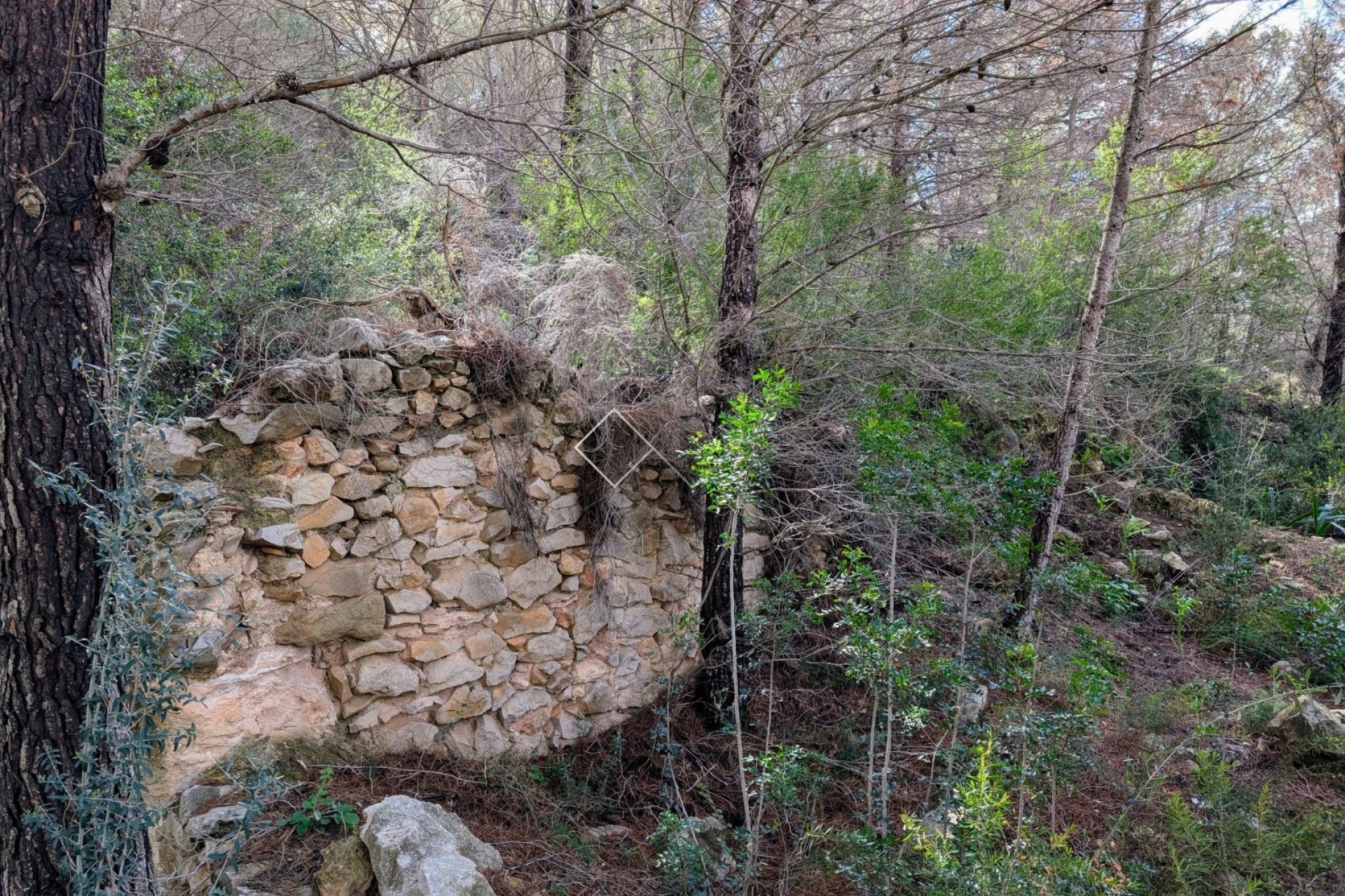  - terrain - Benissa - Partida Biasner