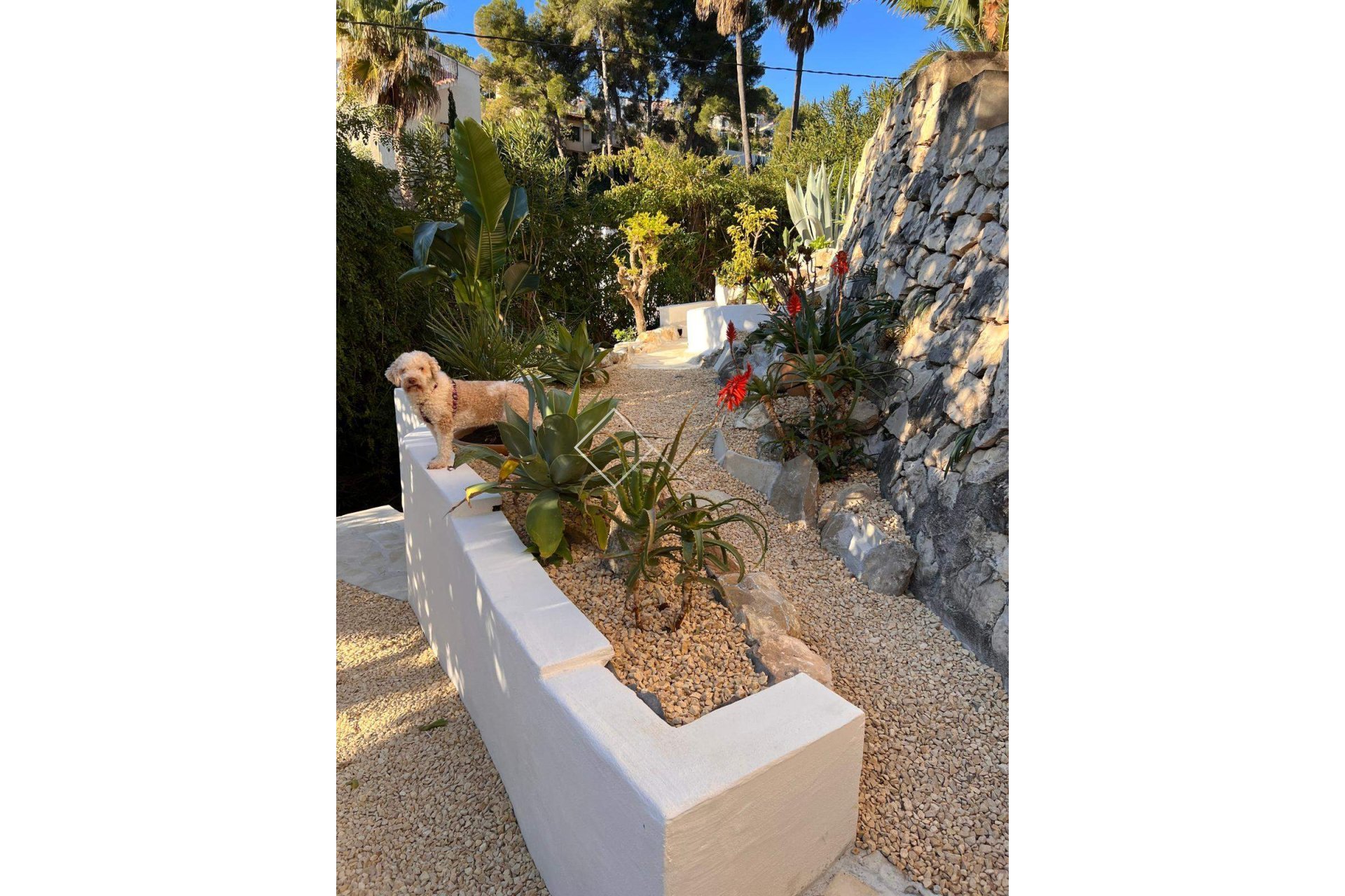  - Villa - Benissa - Buenavista