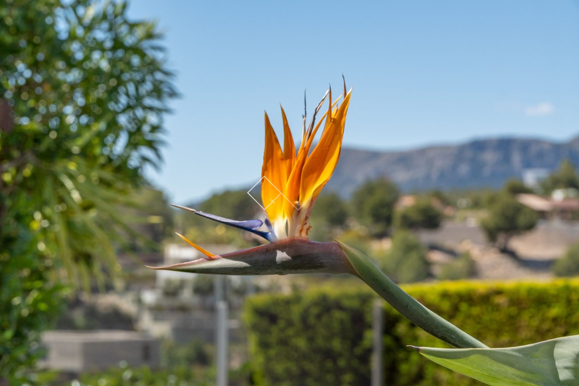  - Villa - Benissa