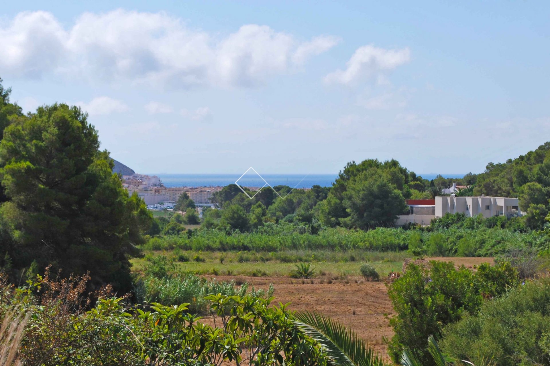vrij zeezicht - Unieke zeezicht villa met eigen wijngaard in Moraira
