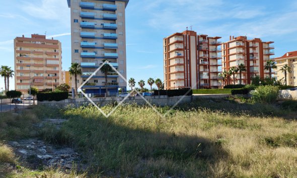  - Plots and Land - Guardamar del Segura - Guardamar pueblo