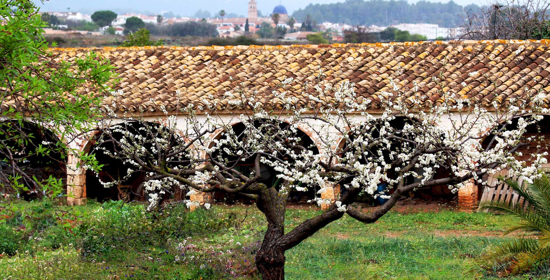 Revente - Villa - Lliber