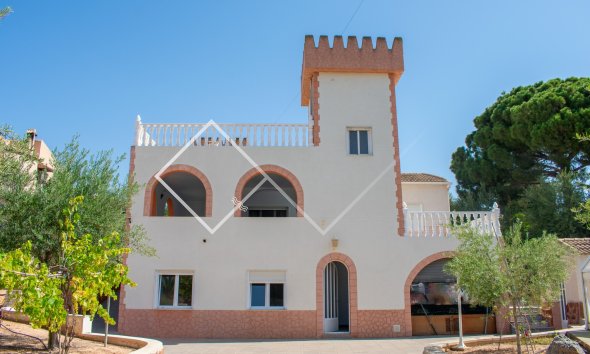  - Independent villa - Orihuela Costa - Mil Palmeras