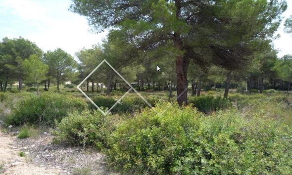  - Plots and Land - Javea - La Cala