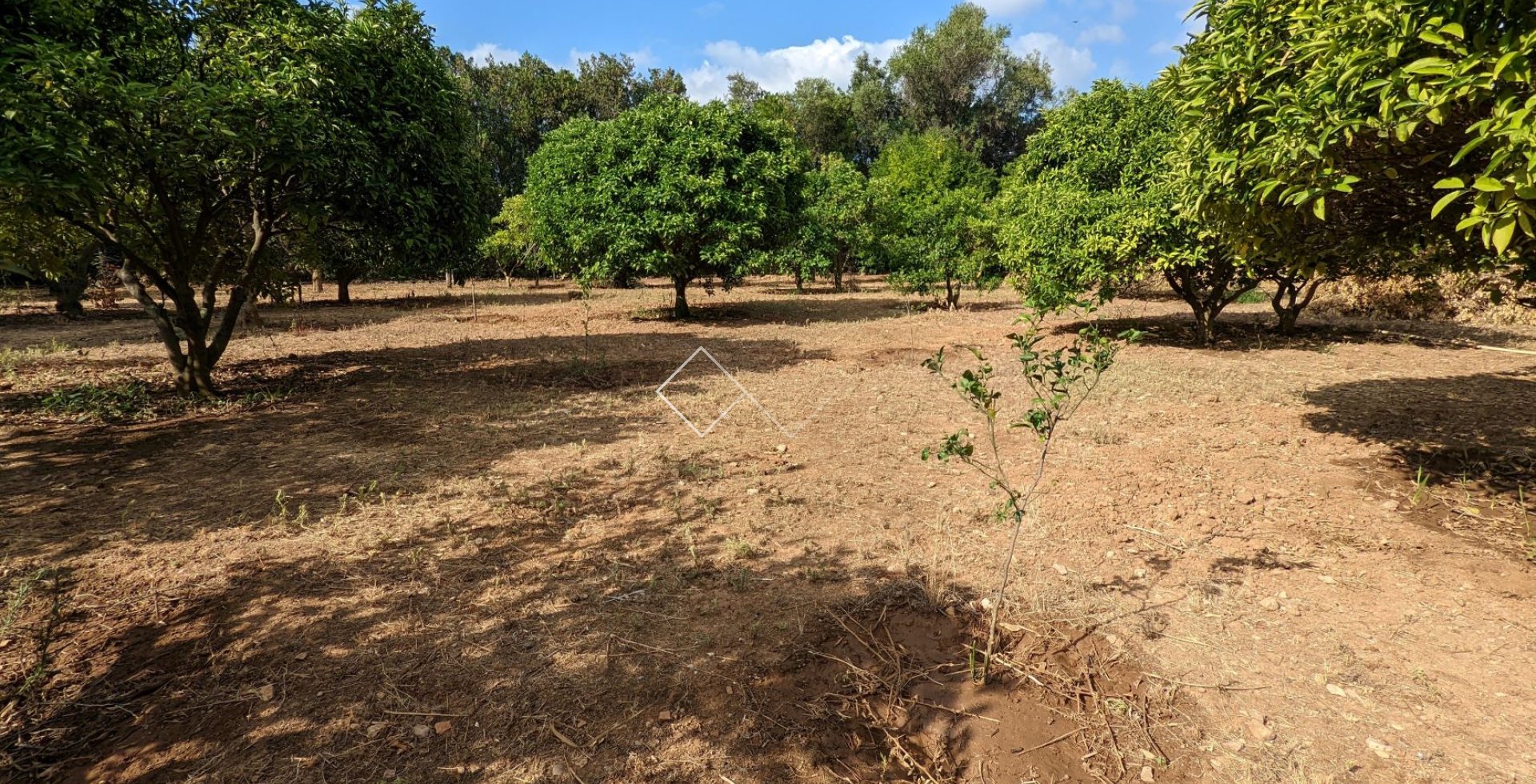  - Ground - Denia - Sportcentrum