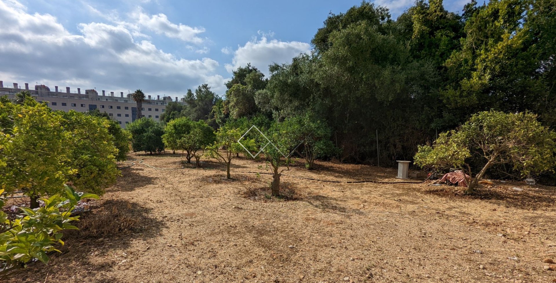  - Ground - Denia - Sportcentrum