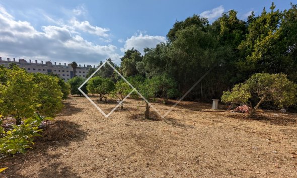  - Ground - Denia - Sportcentrum