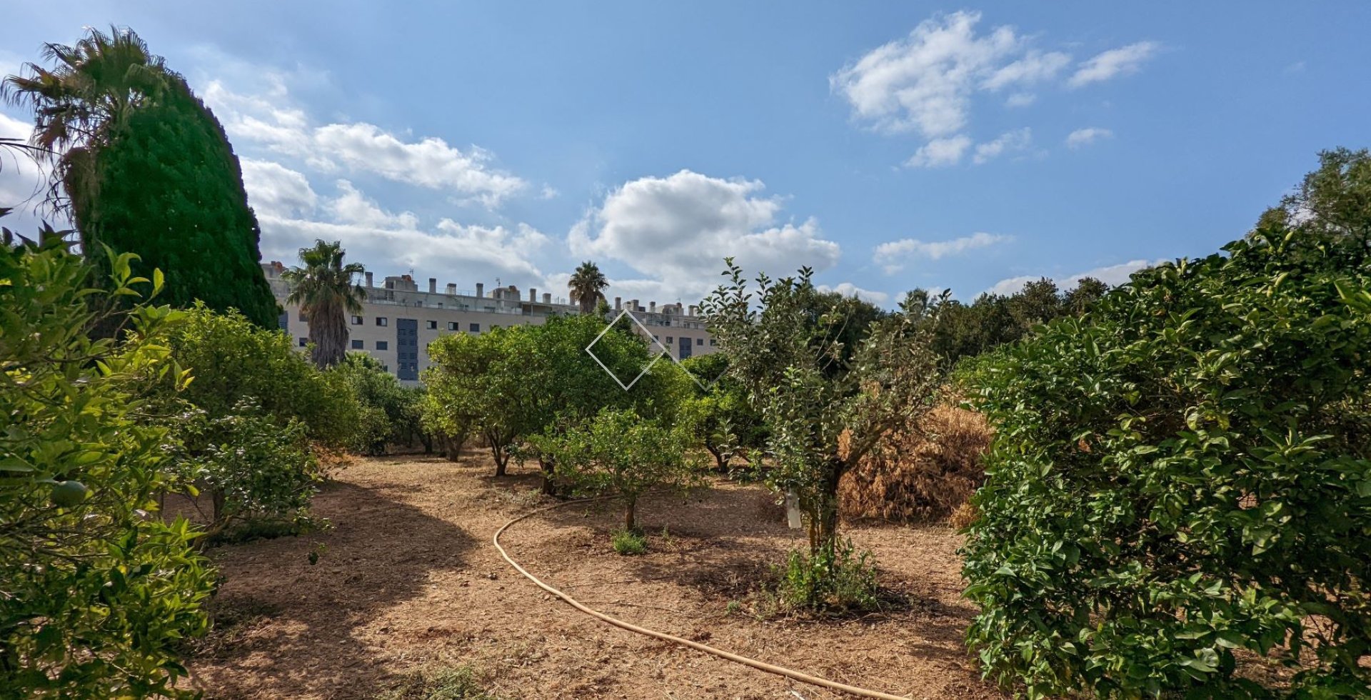  - Ground - Denia - Sportcentrum